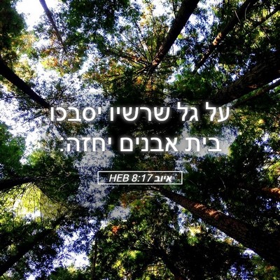 Picture 05 - איוב 8:17 HEB - על גל שרשיו יסבכו בית אבנים - Bible Verse Picture