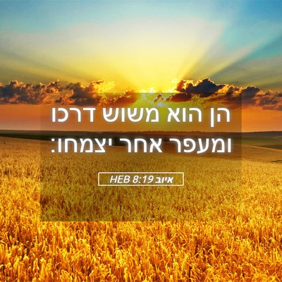 Picture 05 - איוב 8:19 HEB - הן הוא משוש דרכו ומעפר אחר - Bible Verse Picture