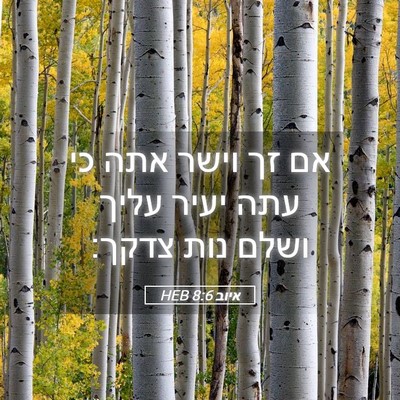 Picture 05 - איוב 8:6 HEB - אם זך וישר אתה כי עתה יעיר - Bible Verse Picture