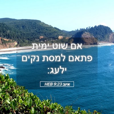 Picture 05 - איוב 9:23 HEB - אם שוט ימית פתאם למסת נקים - Bible Verse Picture