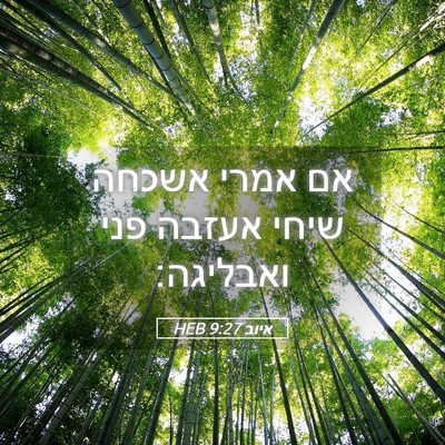 Picture 05 - איוב 9:27 HEB - אם אמרי אשכחה שיחי אעזבה - Bible Verse Picture