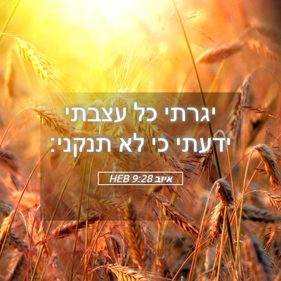 Picture 05 - איוב 9:28 HEB - יגרתי כל עצבתי ידעתי כי לא - Bible Verse Picture
