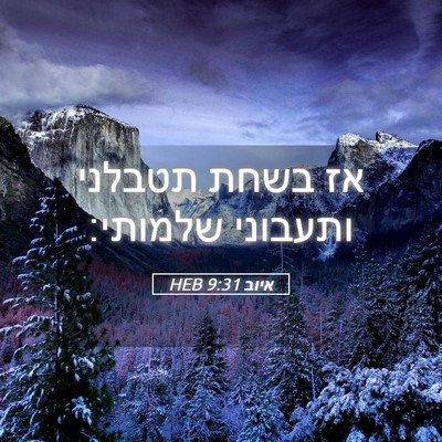 Picture 05 - איוב 9:31 HEB - אז בשחת תטבלני ותעבוני - Bible Verse Picture