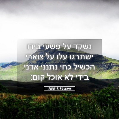 Picture 05 - איכה 1:14 HEB - נשקד על פשעי בידו ישתרגו - Bible Verse Picture