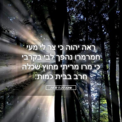Picture 05 - איכה 1:20 HEB - ראה יהוה כי צר לי מעי - Bible Verse Picture