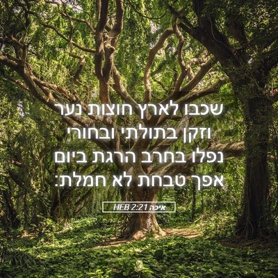 Picture 05 - איכה 2:21 HEB - שכבו לארץ חוצות נער וזקן - Bible Verse Picture