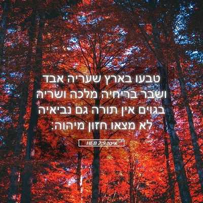 Picture 05 - איכה 2:9 HEB - טבעו בארץ שעריה אבד ושבר - Bible Verse Picture