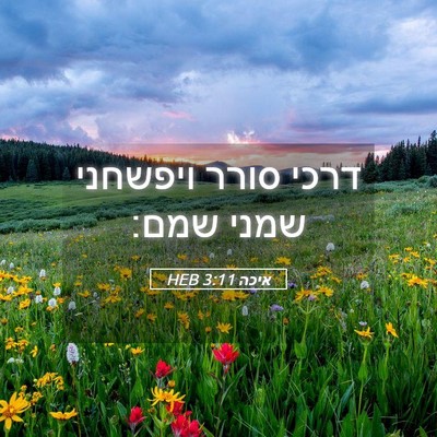 Picture 05 - איכה 3:11 HEB - דרכי סורר ויפשחני שמני - Bible Verse Picture
