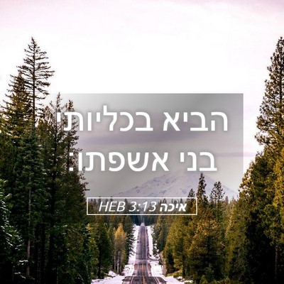 Picture 05 - איכה 3:13 HEB - הביא בכליותי בני - Bible Verse Picture