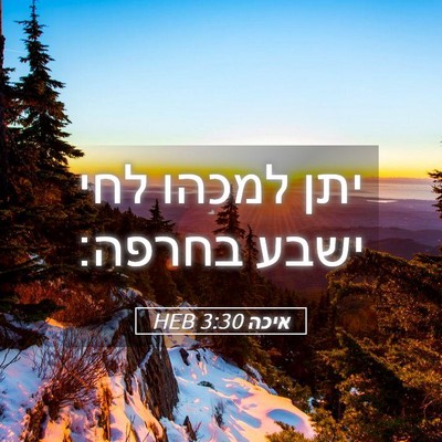 Picture 05 - איכה 3:30 HEB - יתן למכהו לחי ישבע - Bible Verse Picture