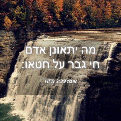 Picture 05 - איכה 3:39 HEB - מה יתאונן אדם חי גבר על - Bible Verse Picture