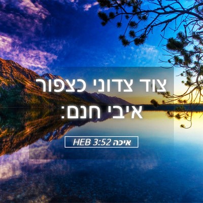 Picture 05 - איכה 3:52 HEB - צוד צדוני כצפור איבי - Bible Verse Picture