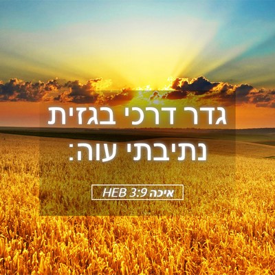 Picture 05 - איכה 3:9 HEB - גדר דרכי בגזית נתיבתי - Bible Verse Picture