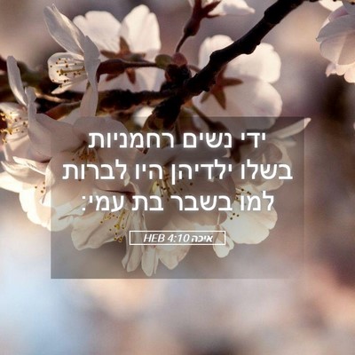 Picture 05 - איכה 4:10 HEB - ידי נשים רחמניות בשלו - Bible Verse Picture