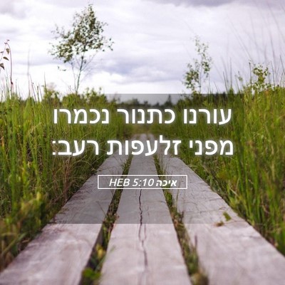 Picture 05 - איכה 5:10 HEB - עורנו כתנור נכמרו מפני - Bible Verse Picture