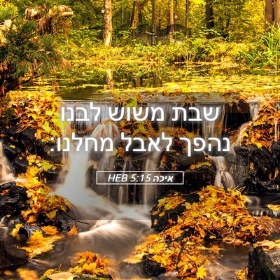 Picture 05 - איכה 5:15 HEB - שבת משוש לבנו נהפך לאבל - Bible Verse Picture