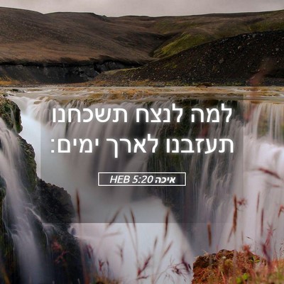 Picture 05 - איכה 5:20 HEB - למה לנצח תשכחנו תעזבנו - Bible Verse Picture