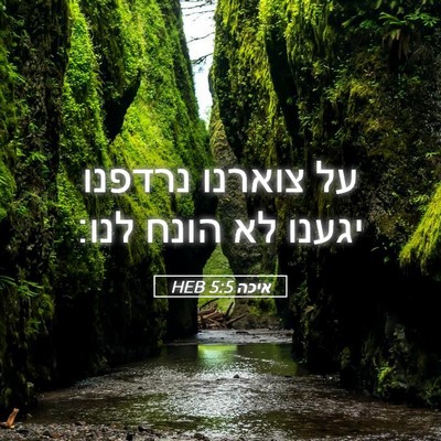 Picture 05 - איכה 5:5 HEB - על צוארנו נרדפנו יגענו לא - Bible Verse Picture