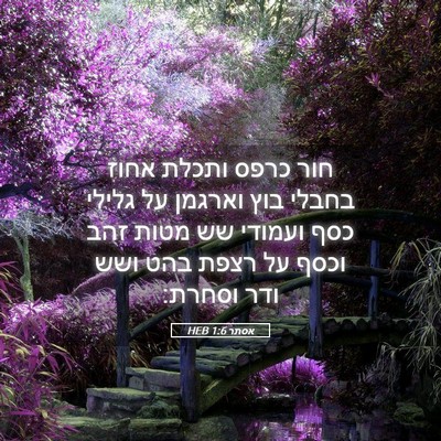 Picture 05 - אסתר 1:6 HEB - חור כרפס ותכלת אחוז בחבלי - Bible Verse Picture