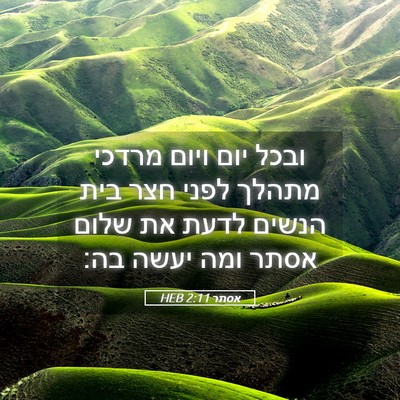 Picture 05 - אסתר 2:11 HEB - ובכל יום ויום מרדכי מתהלך - Bible Verse Picture