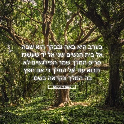 Picture 05 - אסתר 2:14 HEB - בערב היא באה ובבקר היא שבה - Bible Verse Picture