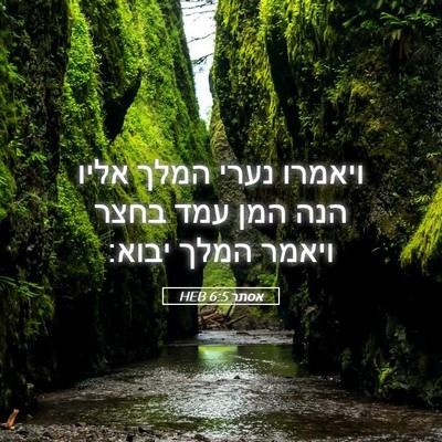 Picture 05 - אסתר 6:5 HEB - ויאמרו נערי המלך אליו הנה - Bible Verse Picture