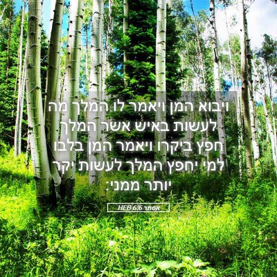 Picture 05 - אסתר 6:6 HEB - ויבוא המן ויאמר לו המלך מה - Bible Verse Picture