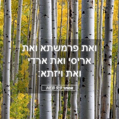 Picture 05 - אסתר 9:9 HEB - ואת פרמשתא ואת אריסי ואת - Bible Verse Picture