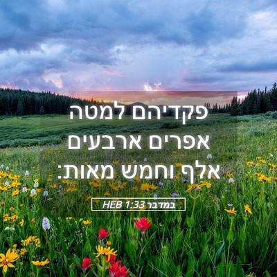 Picture 05 - במדבר 1:33 HEB - פקדיהם למטה אפרים ארבעים - Bible Verse Picture
