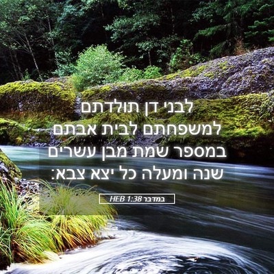 Picture 05 - במדבר 1:38 HEB - לבני דן תולדתם למשפחתם - Bible Verse Picture