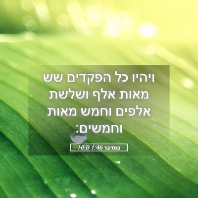 Picture 05 - במדבר 1:46 HEB - ויהיו כל הפקדים שש מאות אלף - Bible Verse Picture