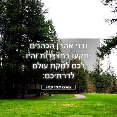 Picture 05 - במדבר 10:8 HEB - ובני אהרן הכהנים יתקעו - Bible Verse Picture