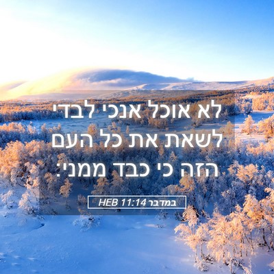 Picture 05 - במדבר 11:14 HEB - לא אוכל אנכי לבדי לשאת את - Bible Verse Picture