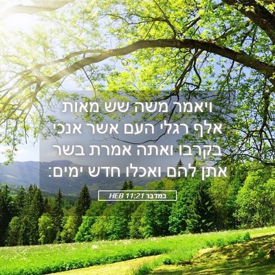 Picture 05 - במדבר 11:21 HEB - ויאמר משה שש מאות אלף רגלי - Bible Verse Picture