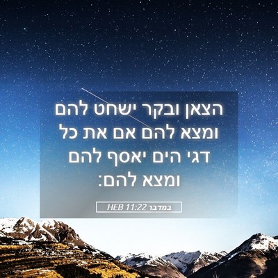 Picture 05 - במדבר 11:22 HEB - הצאן ובקר ישחט להם ומצא להם - Bible Verse Picture