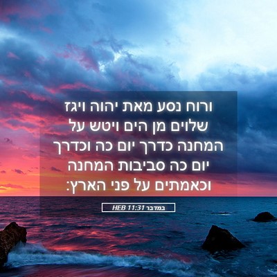 Picture 05 - במדבר 11:31 HEB - ורוח נסע מאת יהוה ויגז - Bible Verse Picture