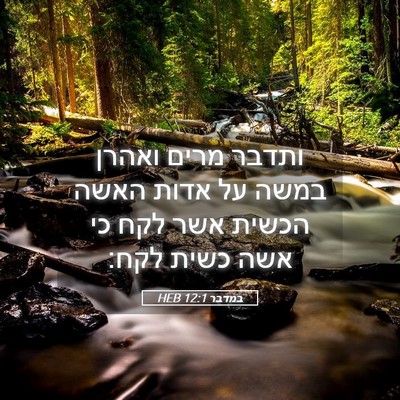 Picture 05 - במדבר 12:1 HEB - ותדבר מרים ואהרן במשה על - Bible Verse Picture