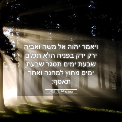 Picture 05 - במדבר 12:14 HEB - ויאמר יהוה אל משה ואביה ירק - Bible Verse Picture