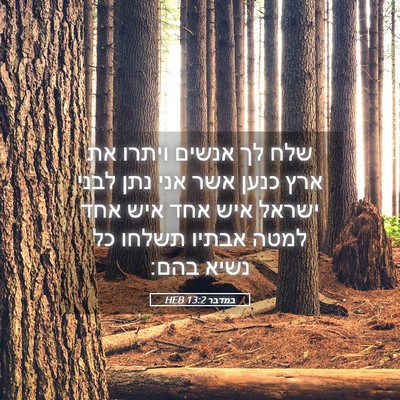 Picture 05 - במדבר 13:2 HEB - שלח לך אנשים ויתרו את ארץ - Bible Verse Picture