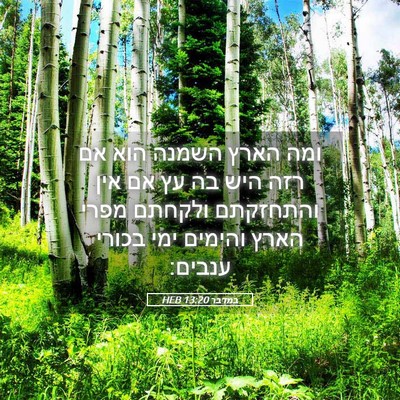 Picture 05 - במדבר 13:20 HEB - ומה הארץ השמנה הוא אם רזה - Bible Verse Picture