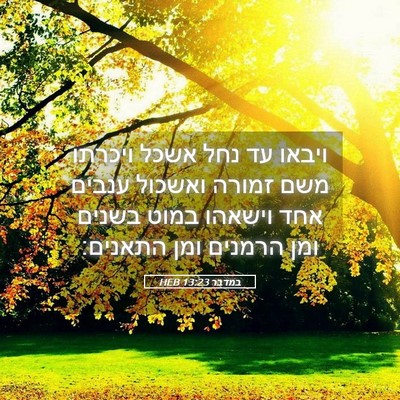 Picture 05 - במדבר 13:23 HEB - ויבאו עד נחל אשכל ויכרתו - Bible Verse Picture