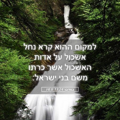Picture 05 - במדבר 13:24 HEB - למקום ההוא קרא נחל אשכול על - Bible Verse Picture