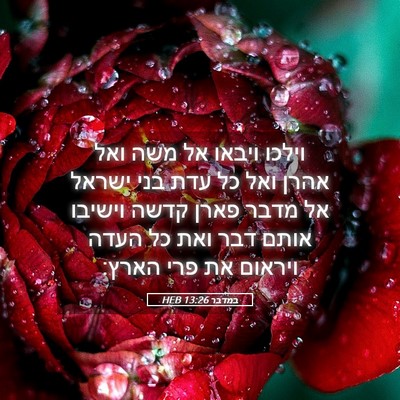 Picture 05 - במדבר 13:26 HEB - וילכו ויבאו אל משה ואל אהרן - Bible Verse Picture
