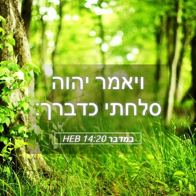Picture 05 - במדבר 14:20 HEB - ויאמר יהוה סלחתי - Bible Verse Picture