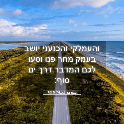 Picture 05 - במדבר 14:25 HEB - והעמלקי והכנעני יושב בעמק - Bible Verse Picture