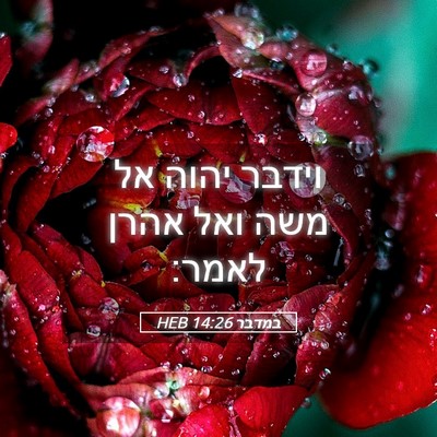 Picture 05 - במדבר 14:26 HEB - וידבר יהוה אל משה ואל אהרן - Bible Verse Picture
