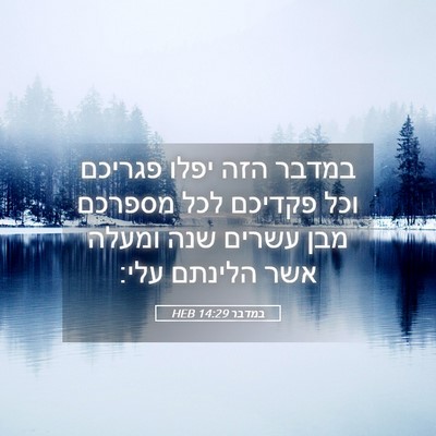 Picture 05 - במדבר 14:29 HEB - במדבר הזה יפלו פגריכם וכל - Bible Verse Picture