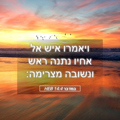 Picture 05 - במדבר 14:4 HEB - ויאמרו איש אל אחיו נתנה ראש - Bible Verse Picture