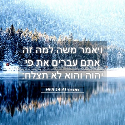 Picture 05 - במדבר 14:41 HEB - ויאמר משה למה זה אתם עברים - Bible Verse Picture