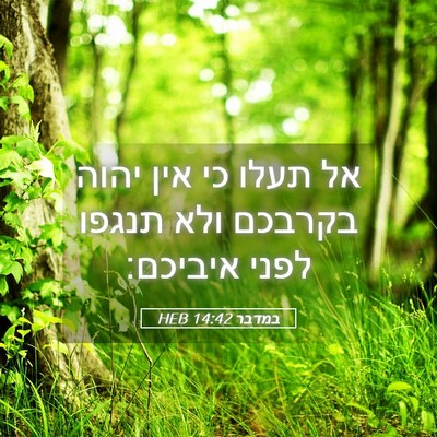Picture 05 - במדבר 14:42 HEB - אל תעלו כי אין יהוה בקרבכם - Bible Verse Picture